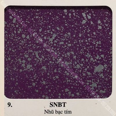 09 - BM Nhũ Bạc Tím (SNBT) - Kính Vẩy Sơn