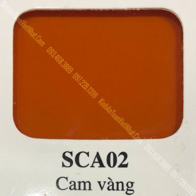 16 - BM Cam Vàng (SCA02)