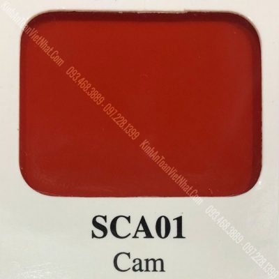 18 - BM Cam (SCA01)