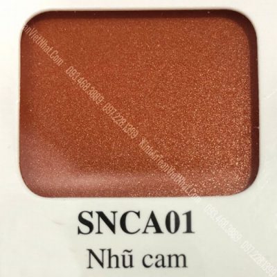 42 - BM Nhũ Cam (SNCA01)