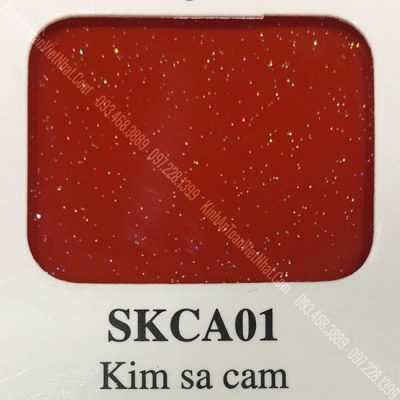 66 - BM Kim Sa Cam (SKCA01)