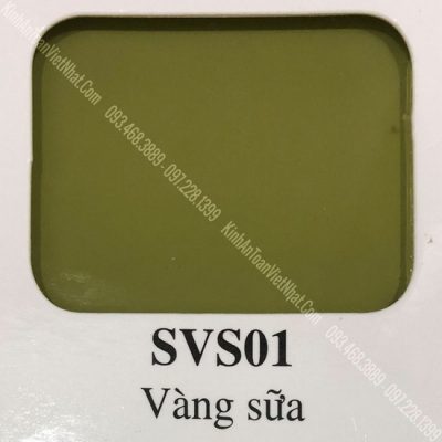 79 - BM Vàng Sữa (SVS01)
